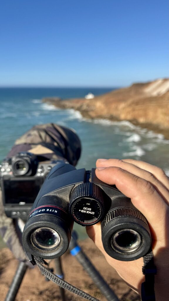 Photo 23 10 2025, 16 15 36