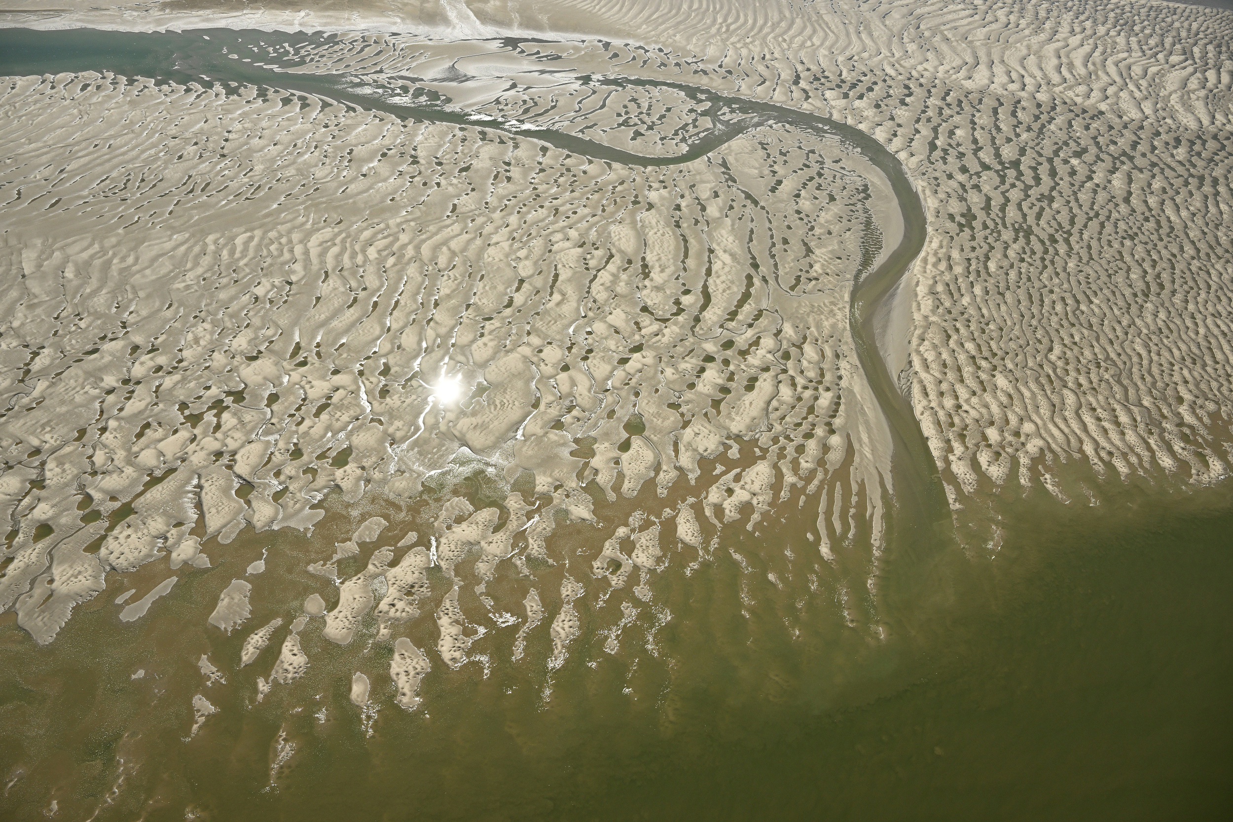 Westerschelde: a birds-eye view